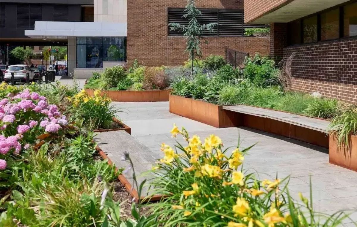 A pocket garden at Newark Beth Israel Medical Center in New Jersey.