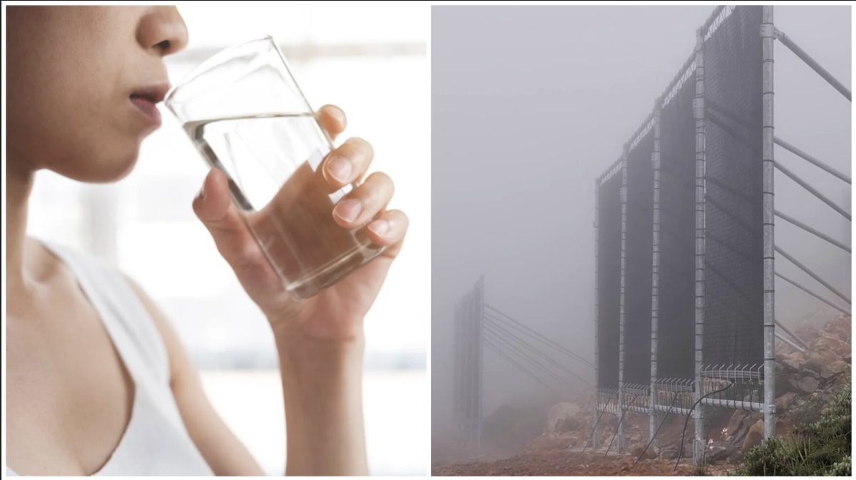 water, fog harvesting, water crisis, environment