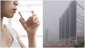 water, fog harvesting, water crisis, environment