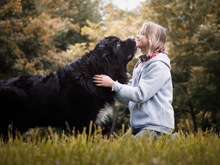 Big black dog nuzzles face of a woman kneeling in a field who is petting it