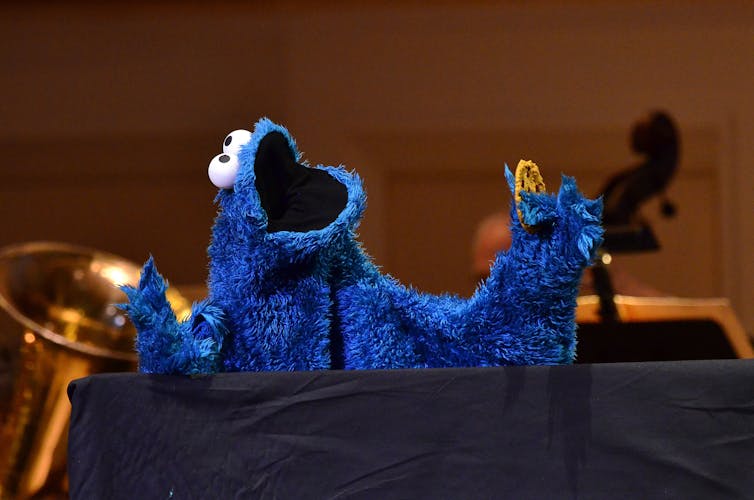A Cookie Monster puppet stands near a black tarp with its mouth open and holds a cookie.