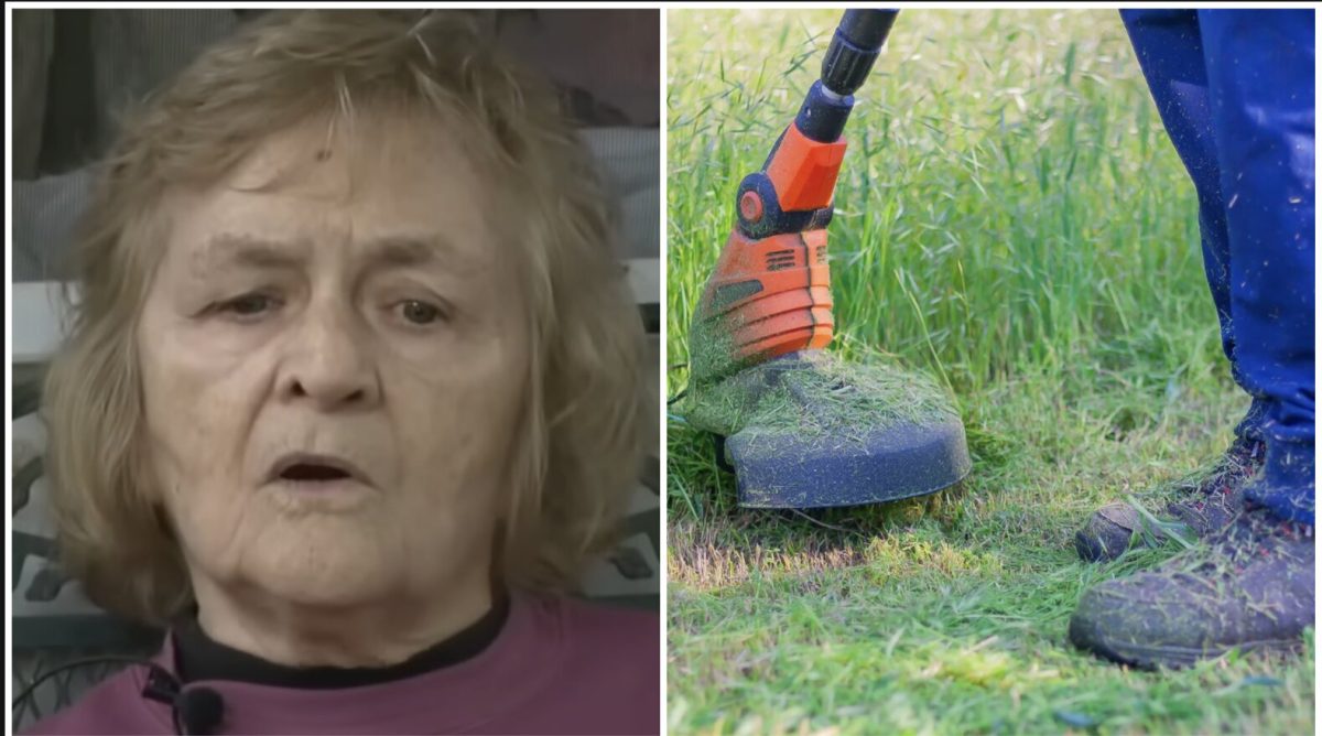 beverly thomas, lawn care, elder care, landscaping
