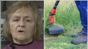 beverly thomas, lawn care, elder care, landscaping