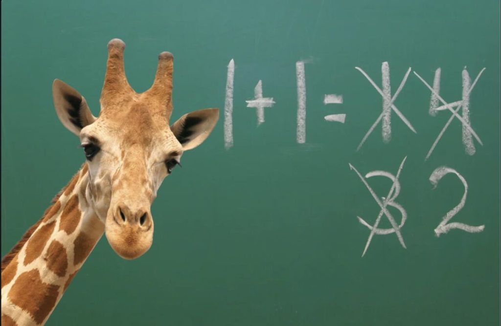 giraffes, math, science, experiment