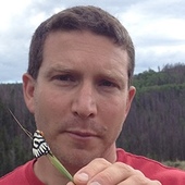 Daniel Rubinoff