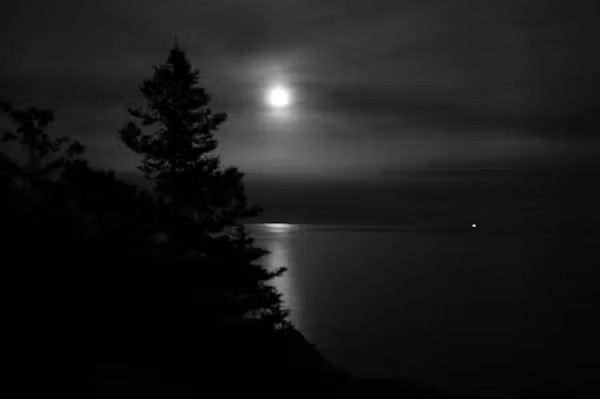 A black and white photograph showing a full moon and its reflection in a body of water with silhouettes of trees along the shore.